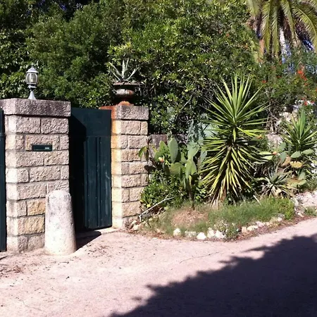 Macalia * Pietrosella