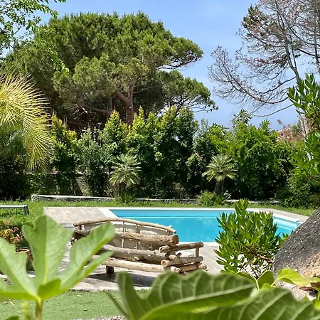 Macalia * Pietrosella