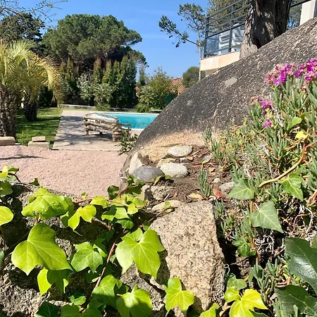 Macalia Villa *