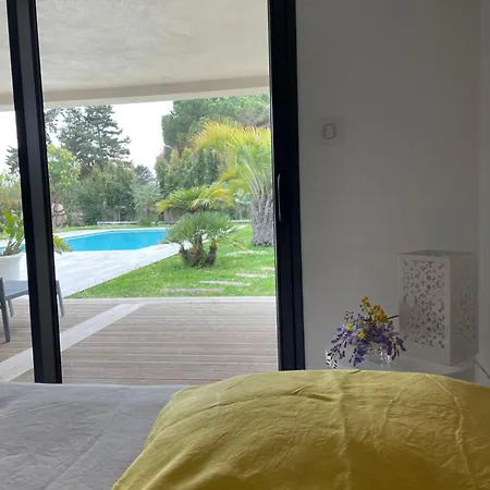 Macalia * Pietrosella