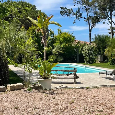 Macalia * Pietrosella