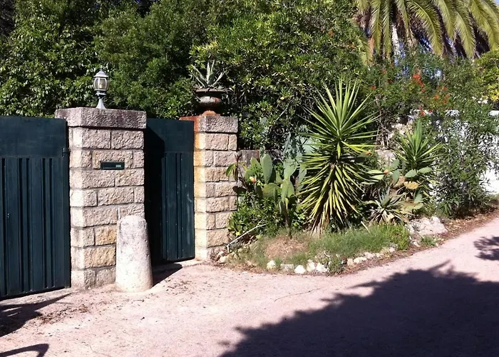 Macalia * Pietrosella