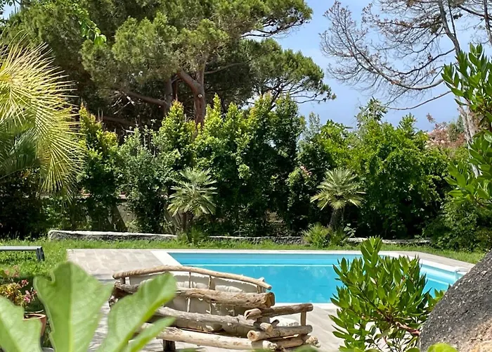 Macalia * Pietrosella